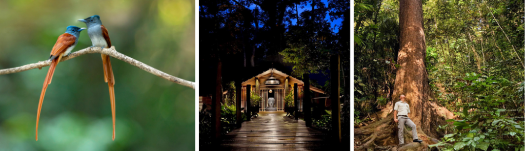 Classic Borneo itinerary