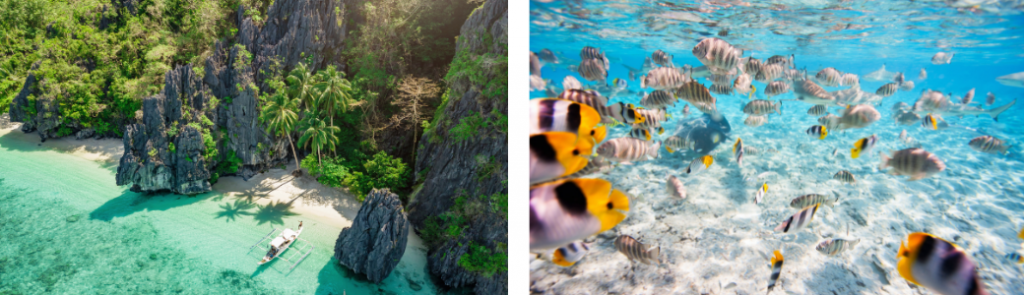 Borneo & Philippines cruise & stay