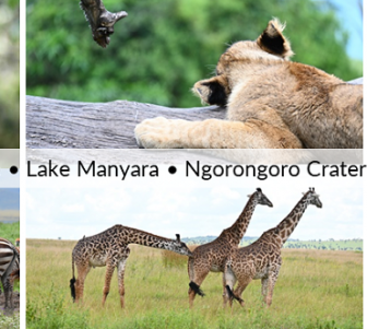 Tanzania - Arusha, Tarangire, Lake Manyara, Ngorongoro Crater, Serengeti, Mara wildlife