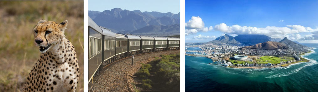 Gems of South Africa 10-nights - safari, Back Rhino Reserve, gastronomy, boutique hotels, rovos rail, cape town, private yacht charter, winelands