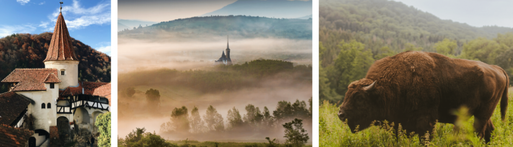 Wild Romania 7-night itinerary