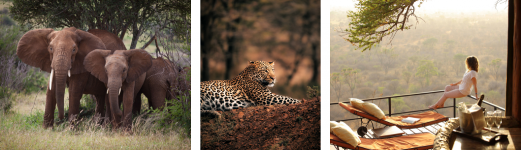 Safari days in Kenya
