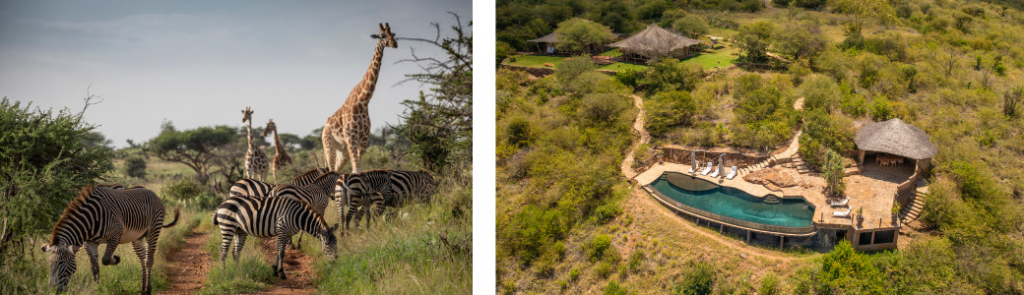 Safari days in Kenya