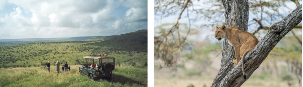 Safari days in Kenya