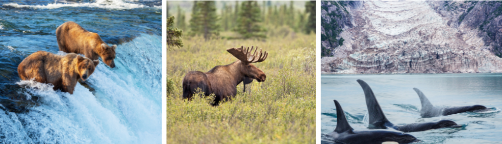 Classic Alaska