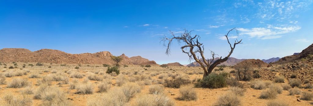 Namibian landscape